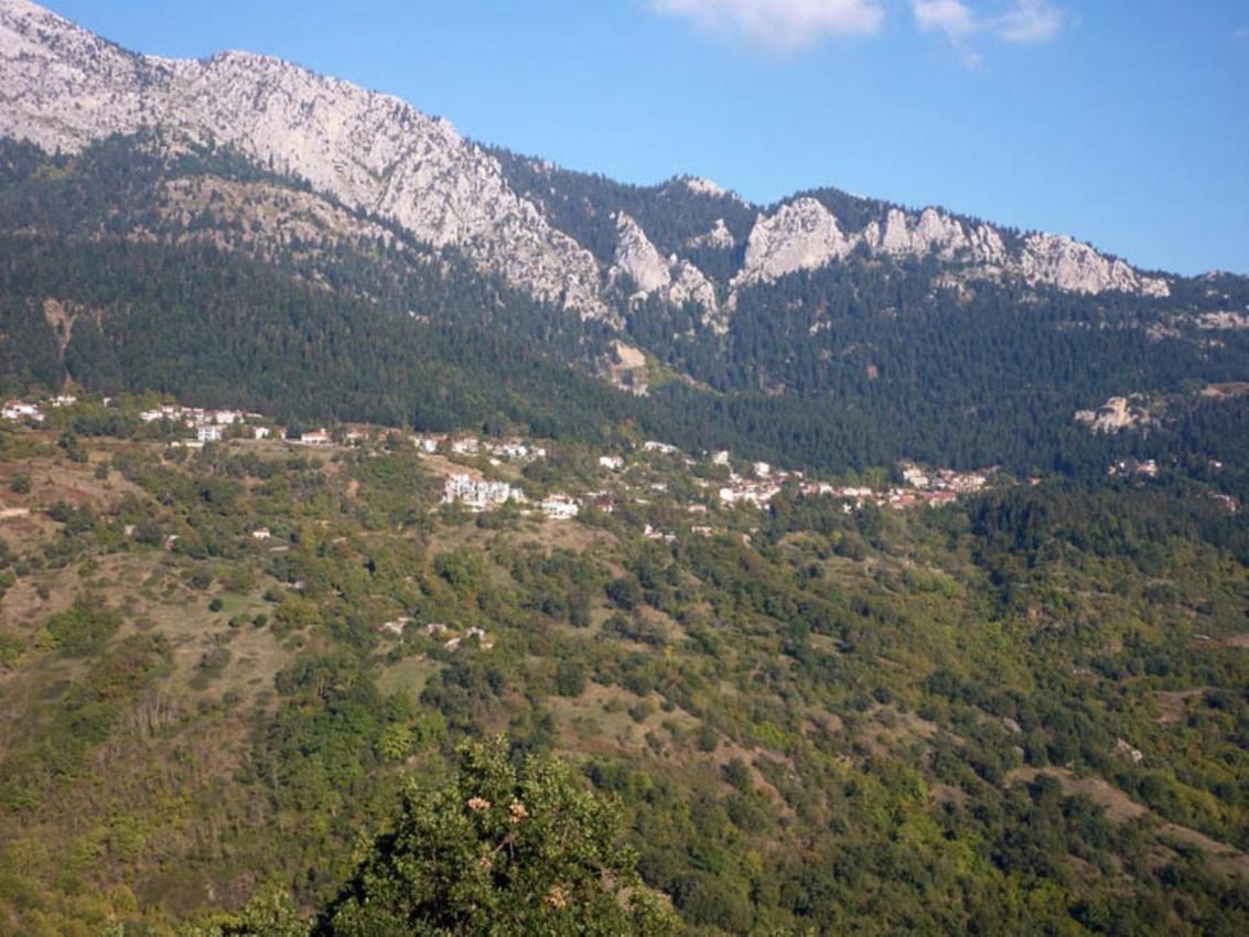 Archontiko Christodoulou Vronteron (Thessaly) Exterior foto