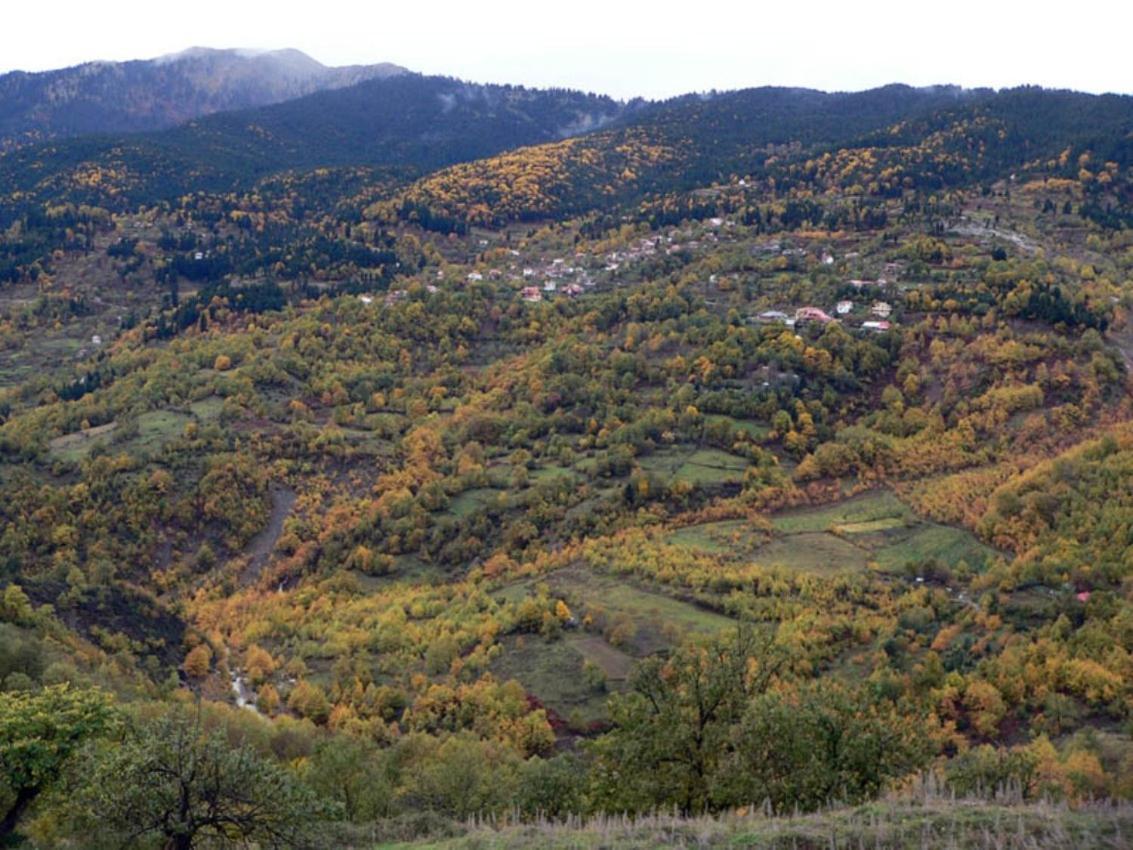 Archontiko Christodoulou Vronteron (Thessaly) Exterior foto
