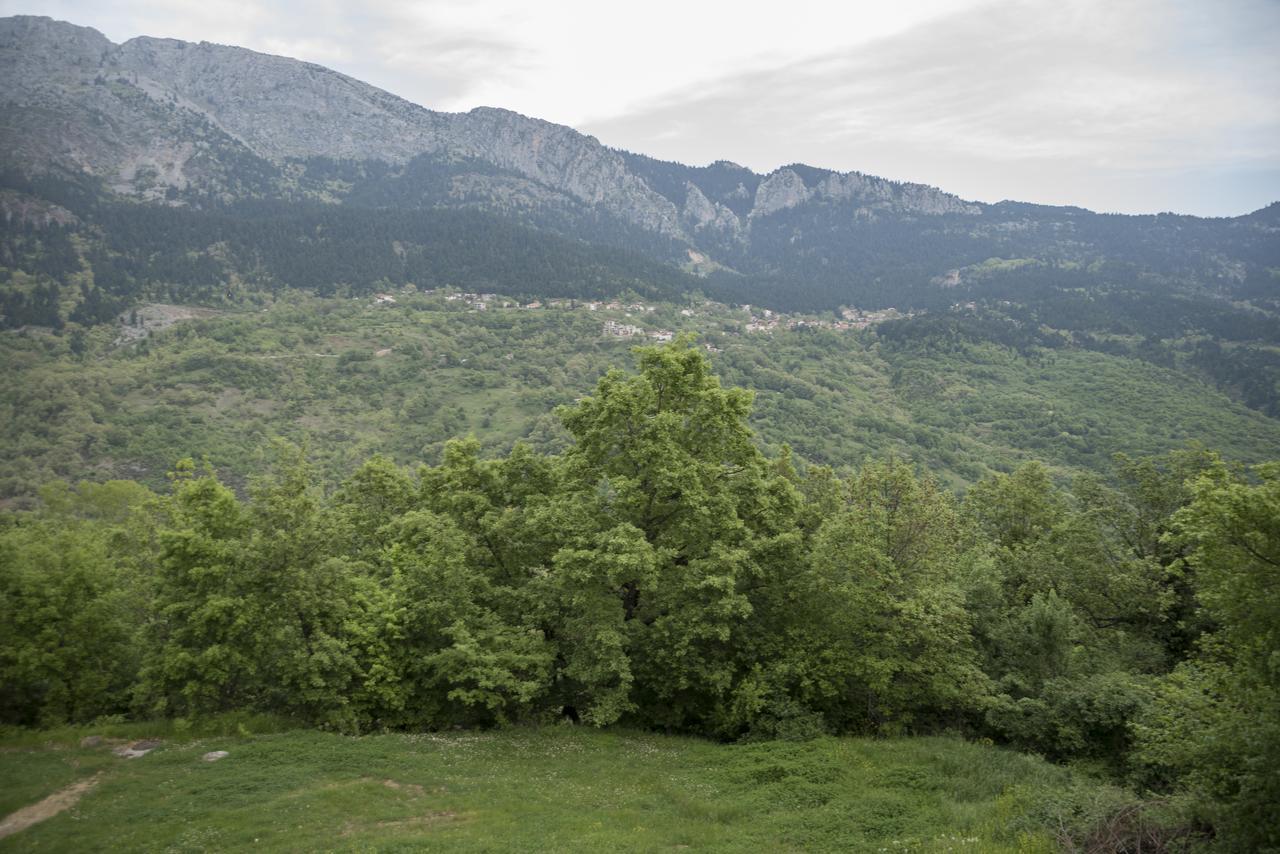 Archontiko Christodoulou Vronteron (Thessaly) Exterior foto